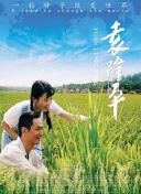 探索大话修仙：如何快速提升角色等级